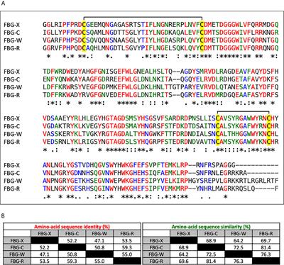 Latent TGF-β Activation Is a Hallmark of the Tenascin Family